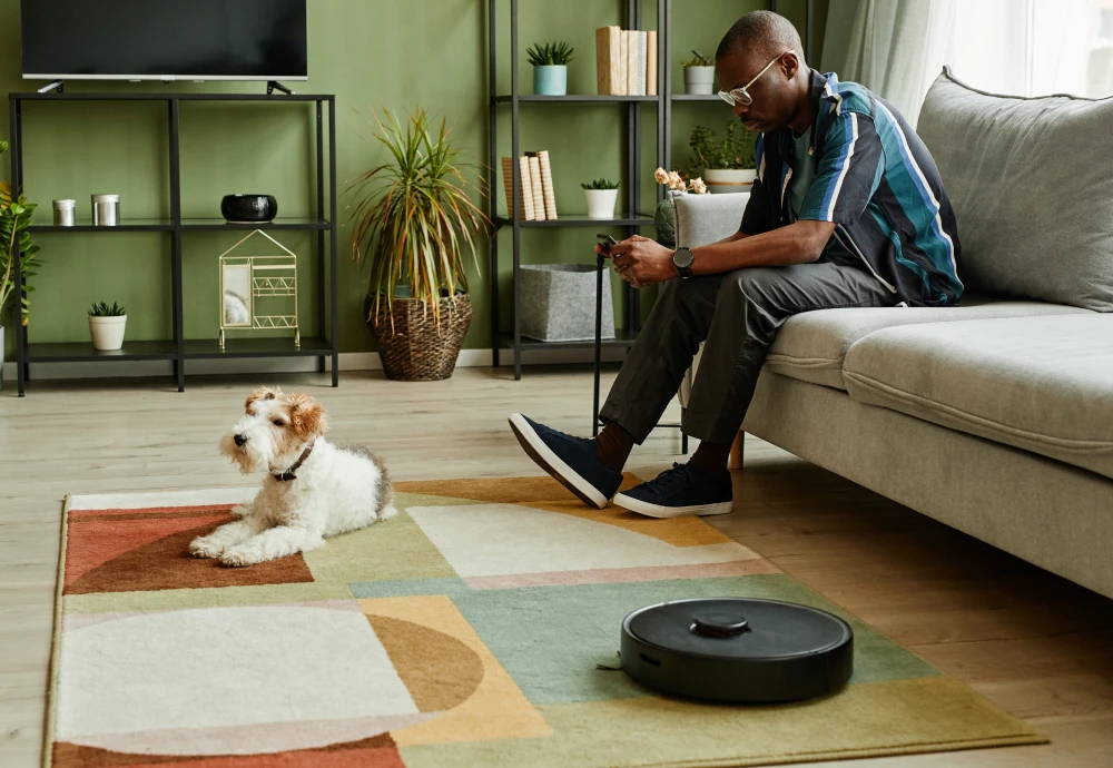 best robot vacuum and mopping cleaner